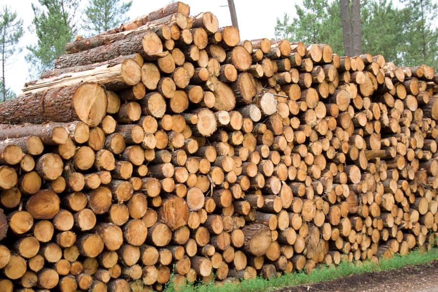 Trabajos con todo tipo de madera en Vilagarcía de Arousa